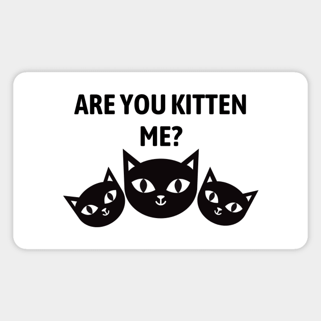 Are You Kitten Me Magnet by Word and Saying